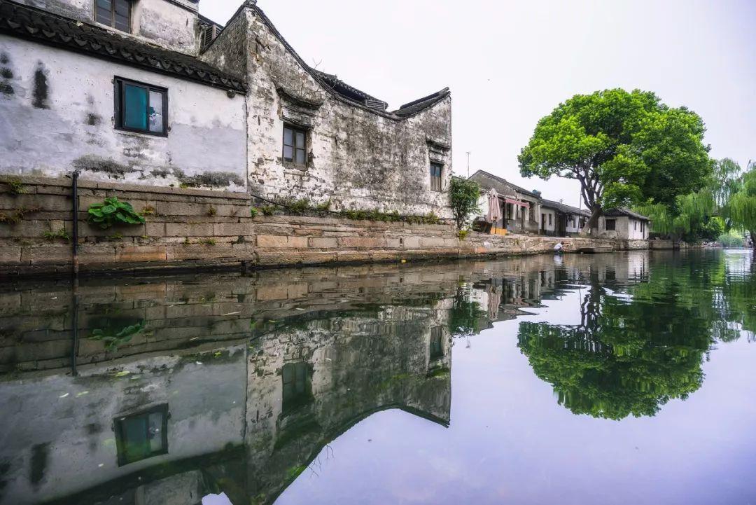 逃离金色的沙漠